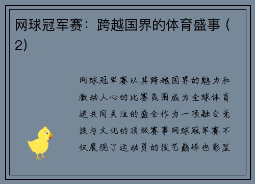 网球冠军赛：跨越国界的体育盛事 (2)